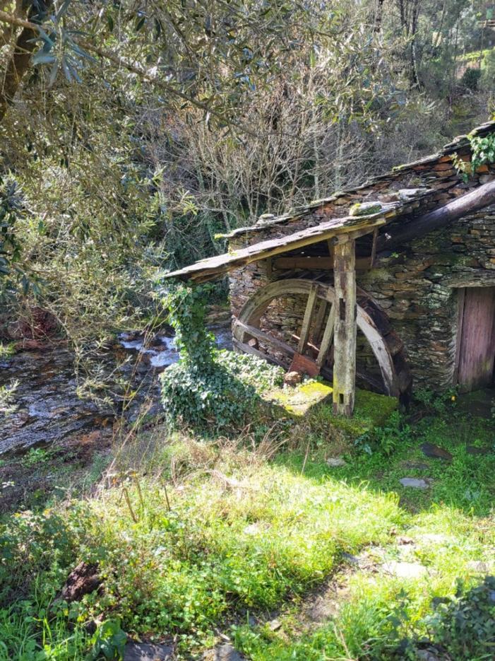 Casal do Rei Casa Do Salgueirinho别墅 外观 照片